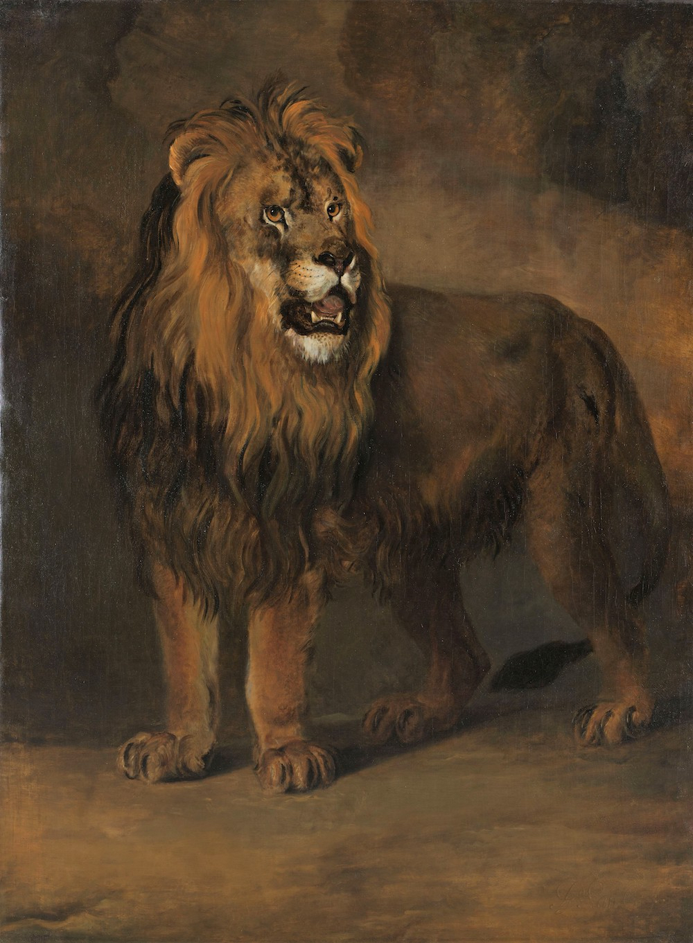 Een leeuw uit de menagerie van koning Lodewijk Napoleon 1808 Pieter Gerardus van Os 1808 Rijksmuseum