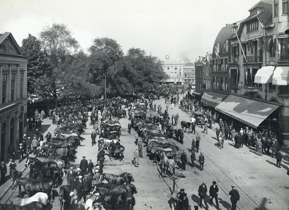 Laatste paardenmarkt Vredenburg 1928 HUA