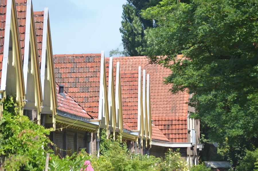 Veeartsenijterrein