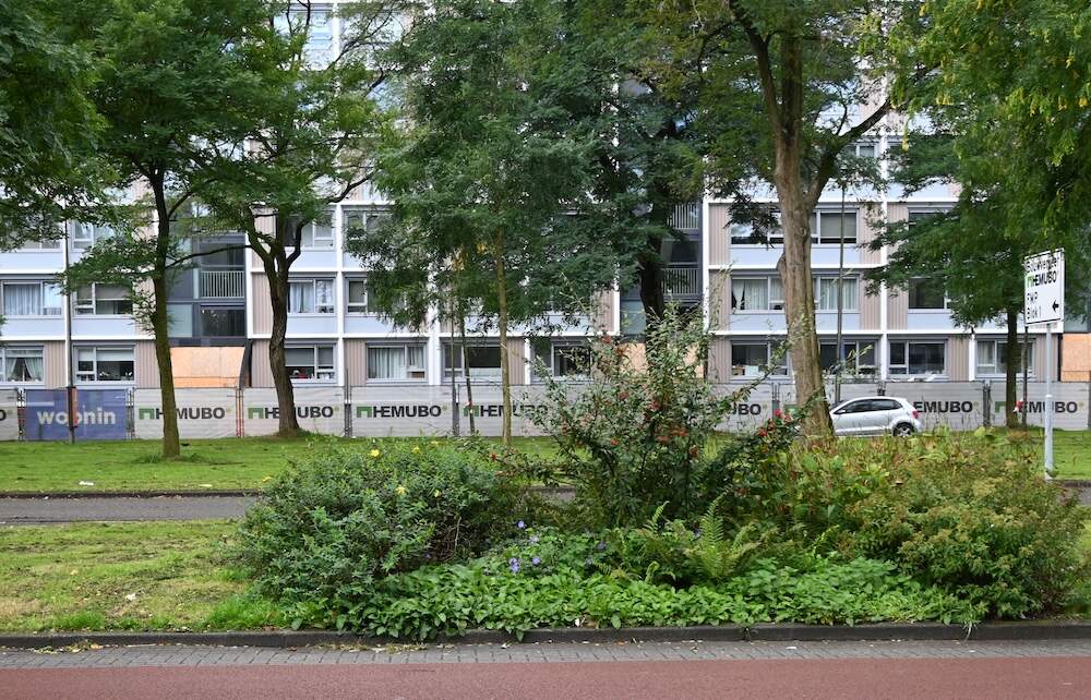Overvecht 2024 Carnegiedreef groenstrook mag door bewoners op veschillende plekken worden ingevuld met bloemen en struiken