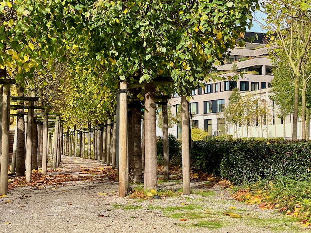 Wijkentoer Leidsche Rijn 2025 10