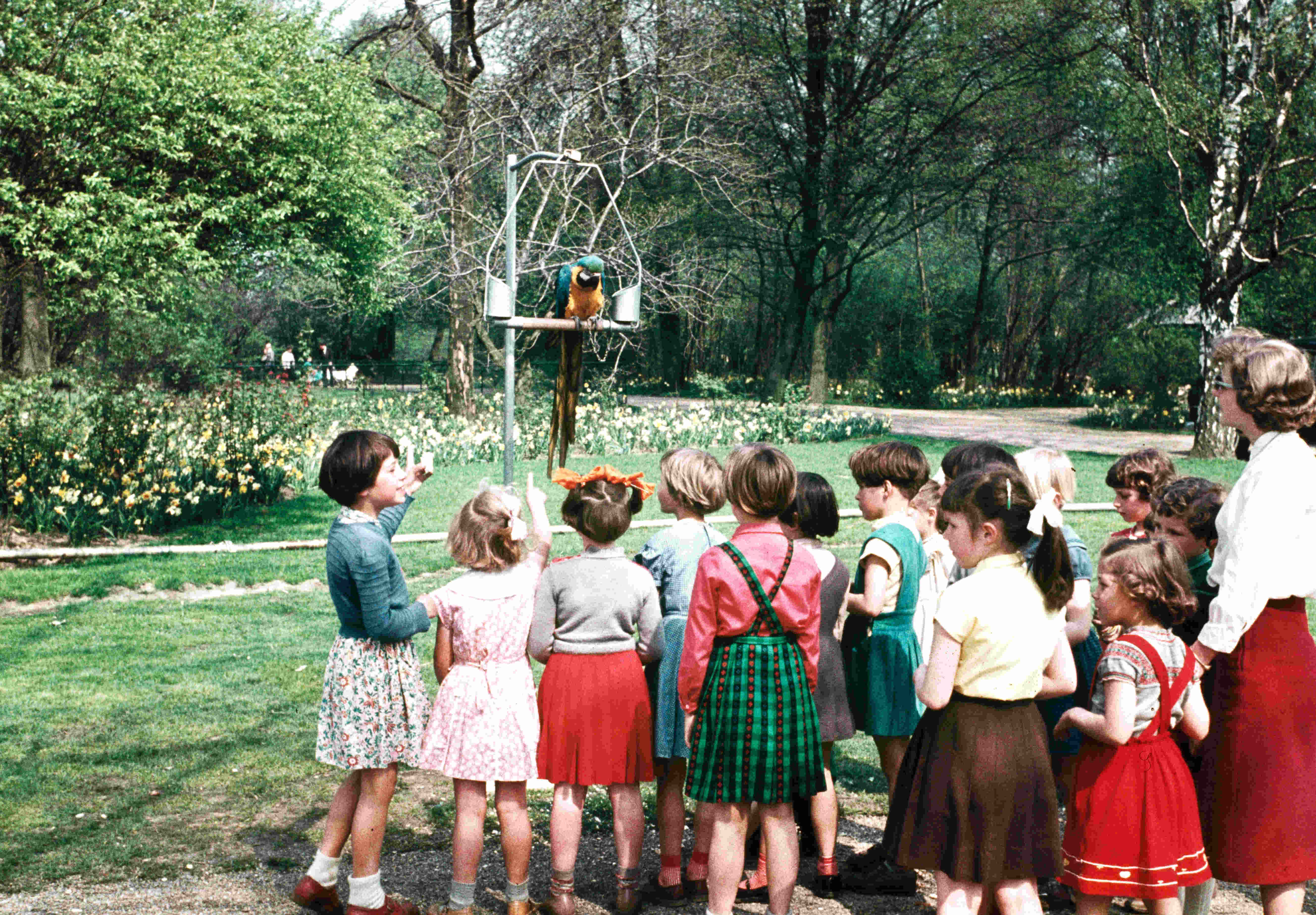 Kinderen in Het Julianapark Gemeente Utrecht Rovu Het Utrechts Archief